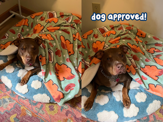Dino Nuggets & Ketchup Blanket