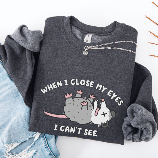 When I Close My Eyes I Cant See Sweatshirt