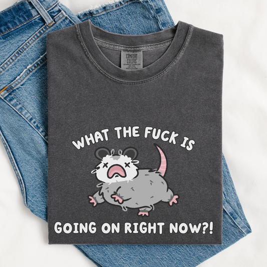 What The Fuck Is Going On Comfort Colors Shirt