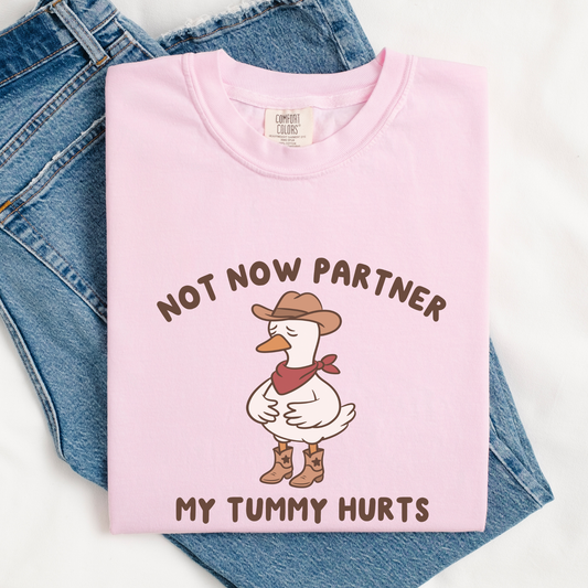 Not Now Partner My Tummy Hurts Comfort Colors Shirt