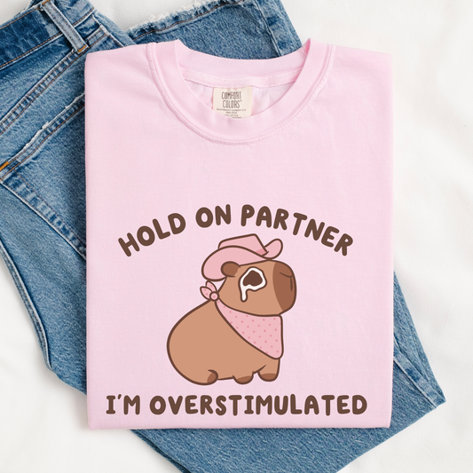 Hold On Partner I'm Overstimulated Comfort Colors Shirt