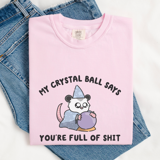 You're Full Of Shit Crystal Ball Comfort Color Shirt
