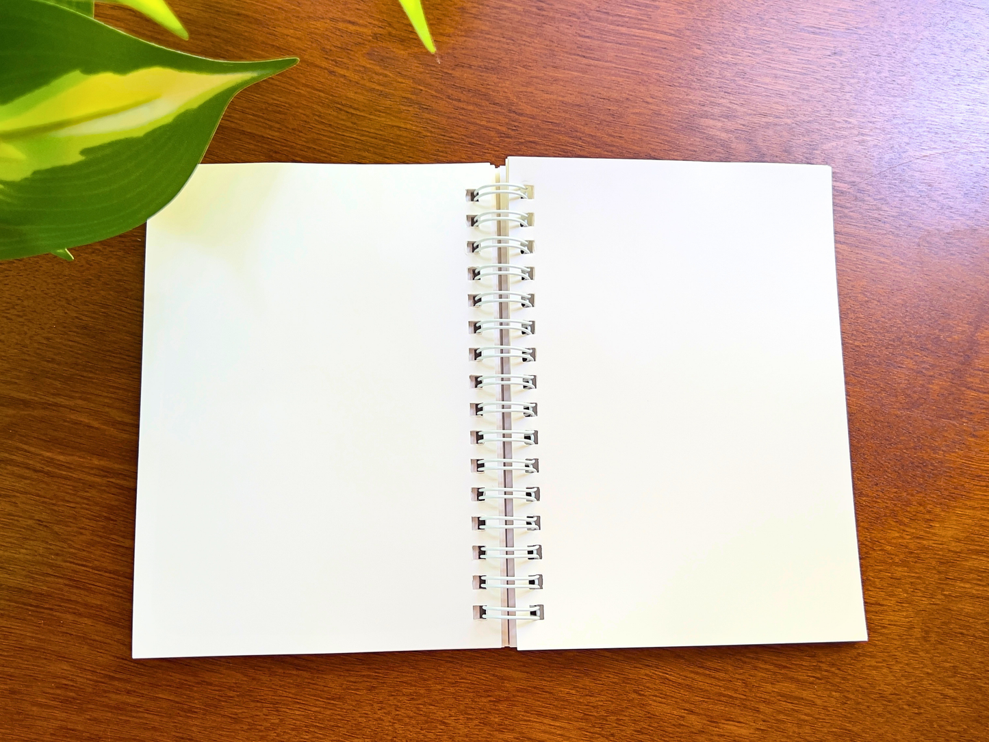 PREORDER Reusable Sticker Book