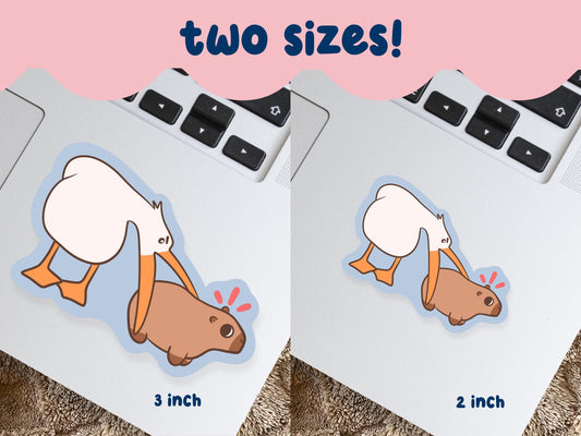 Seagull Biting Capybara Sticker