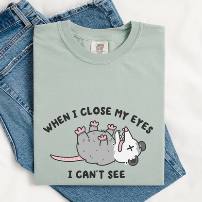 When I Close My Eyes I Can't See Comfort Colors Shirt