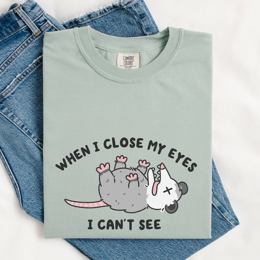 When I Close My Eyes I Can't See Comfort Colors Shirt