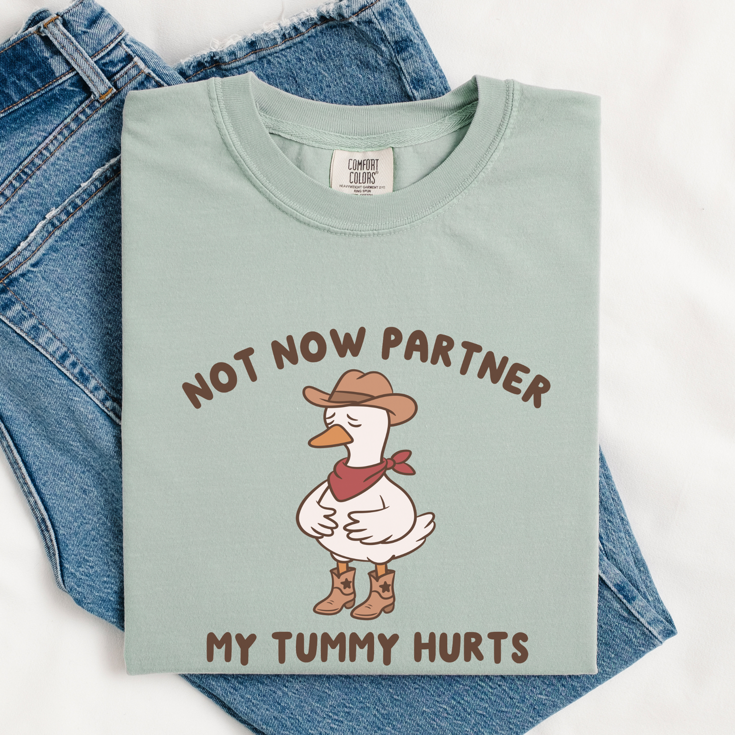 Not Now Partner My Tummy Hurts Comfort Colors Shirt