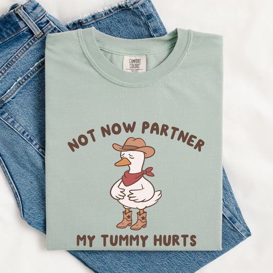 Not Now Partner My Tummy Hurts Comfort Colors Shirt