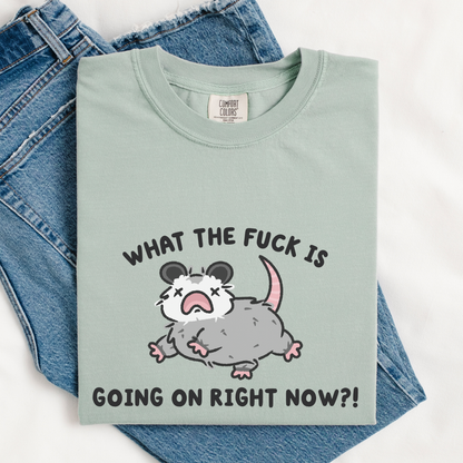 What The Fuck Is Going On Comfort Colors Shirt