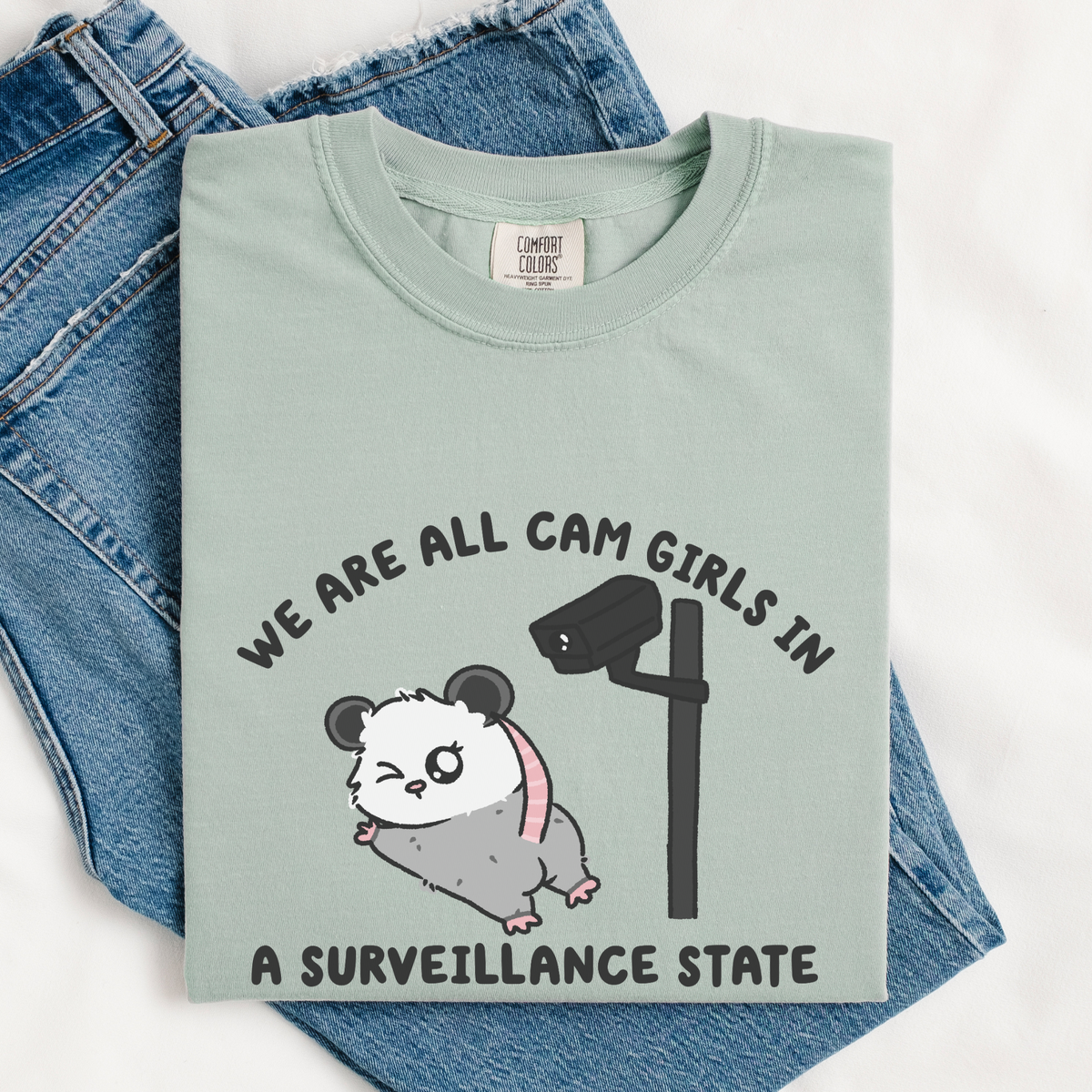 We Are All Cam Girls In A Surveillance State Comfort Colors Shirt