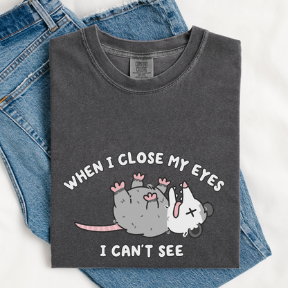 When I Close My Eyes I Can't See Comfort Colors Shirt