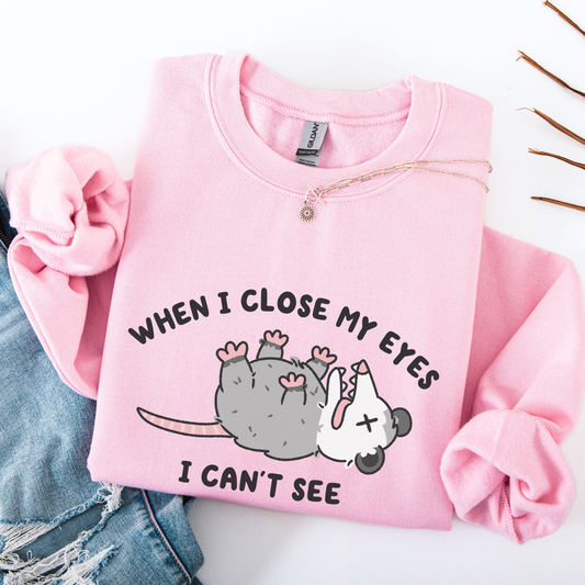 When I Close My Eyes I Cant See Sweatshirt