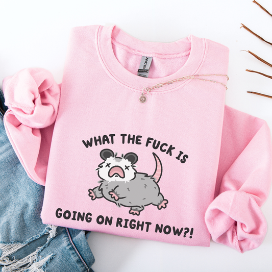 What The Fuck Is Going On Sweatshirt