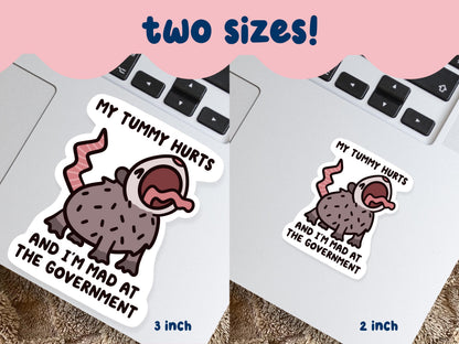 Tummy Hurts Mad At Government Possum Sticker