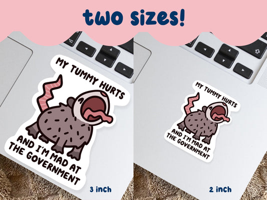 Tummy Hurts Mad At Government Possum Sticker