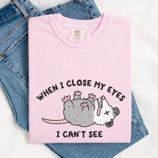 When I Close My Eyes I Can't See Comfort Colors Shirt