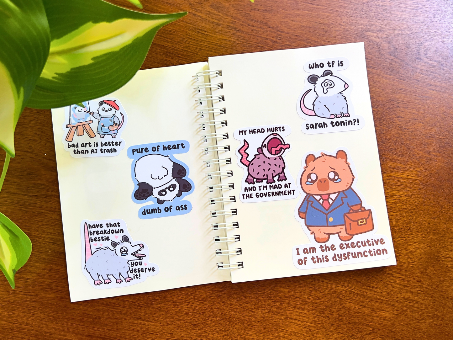 PREORDER Reusable Sticker Book