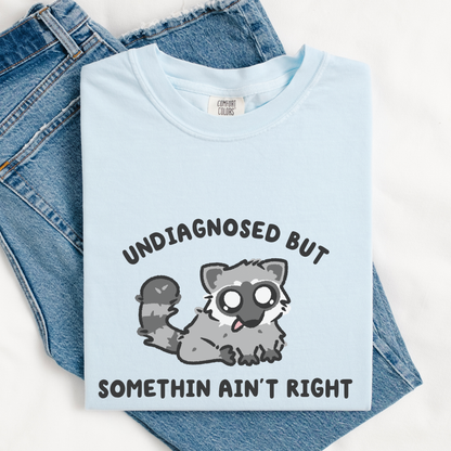 Undiagnosed But Somethin Ain't Right Comfort Colors Shirt