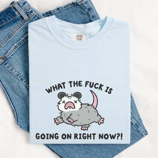 What The Fuck Is Going On Comfort Colors Shirt