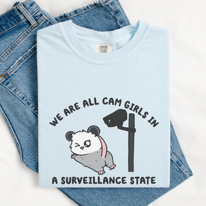 We Are All Cam Girls In A Surveillance State Comfort Colors Shirt