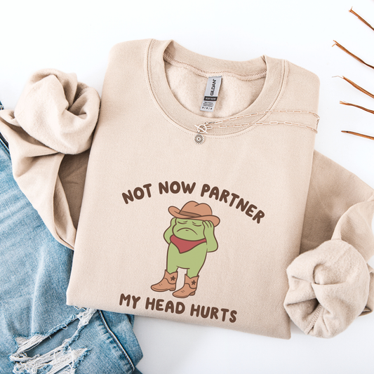Not Now Partner My Head Hurts Sweatshirt