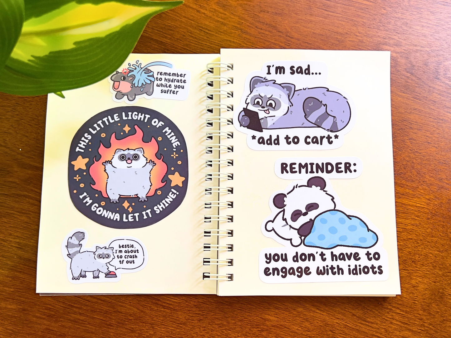 PREORDER Reusable Sticker Book