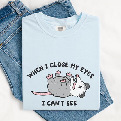 When I Close My Eyes I Can't See Comfort Colors Shirt