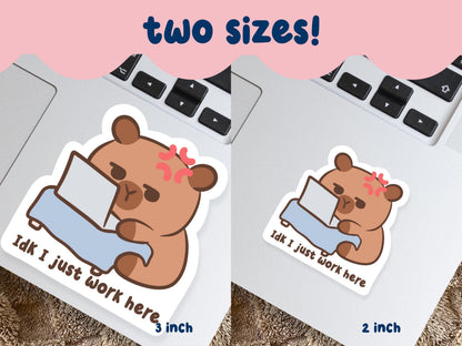 Idk I Just Work Here Capybara Sticker