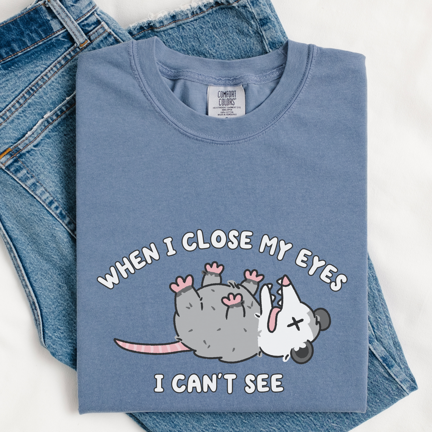 When I Close My Eyes I Can't See Comfort Colors Shirt