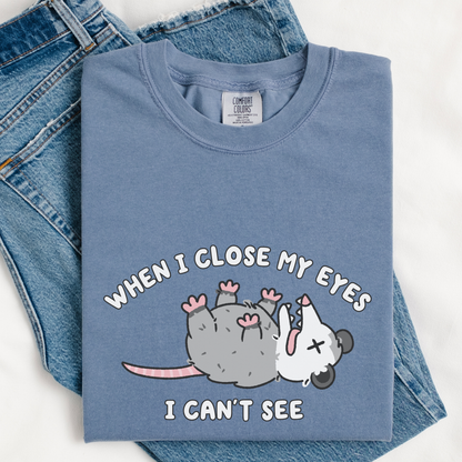 When I Close My Eyes I Can't See Comfort Colors Shirt