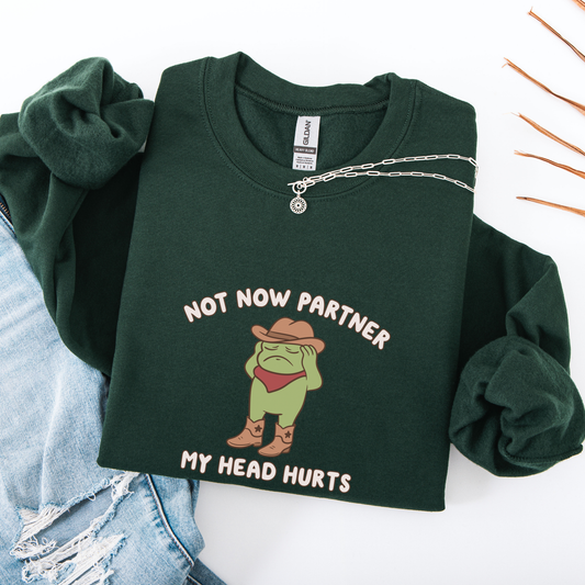 Not Now Partner My Head Hurts Sweatshirt