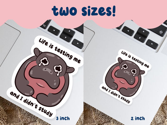 Life Is Testing Me I Didn't Study Sticker