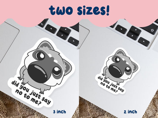 Did You Say No To Me? Raccoon Sticker