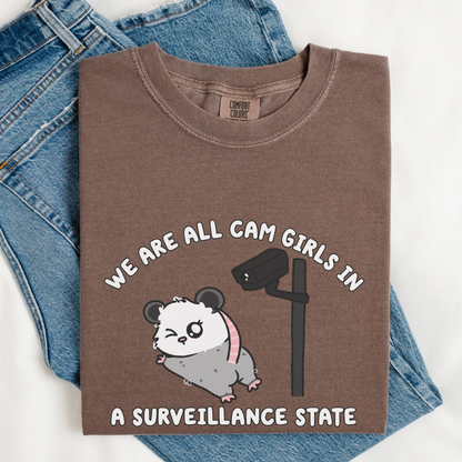 We Are All Cam Girls In A Surveillance State Comfort Colors Shirt