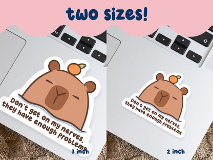 My Nerves Have Enough Problems Sticker