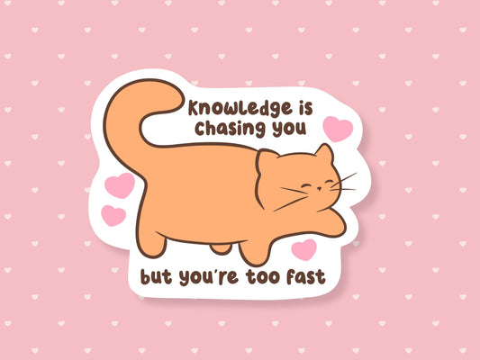 Knowledge Is Chasing You But You're Too Fast Sticker