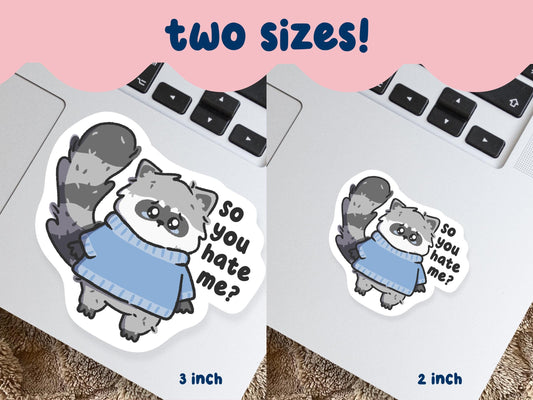 So You Hate Me? Sad Raccoon Sticker