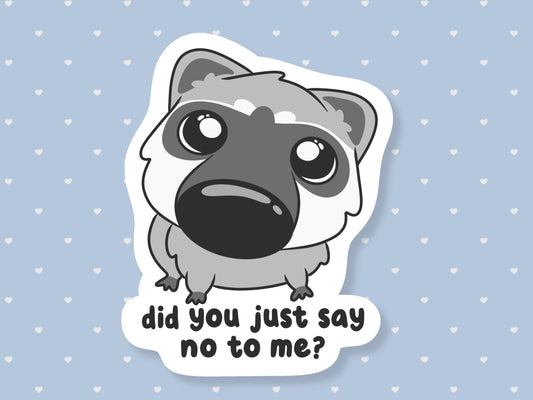 Did You Say No To Me? Raccoon Sticker