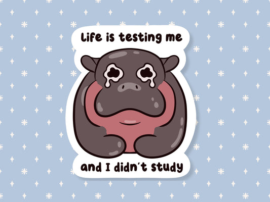 Life Is Testing Me I Didn't Study Sticker