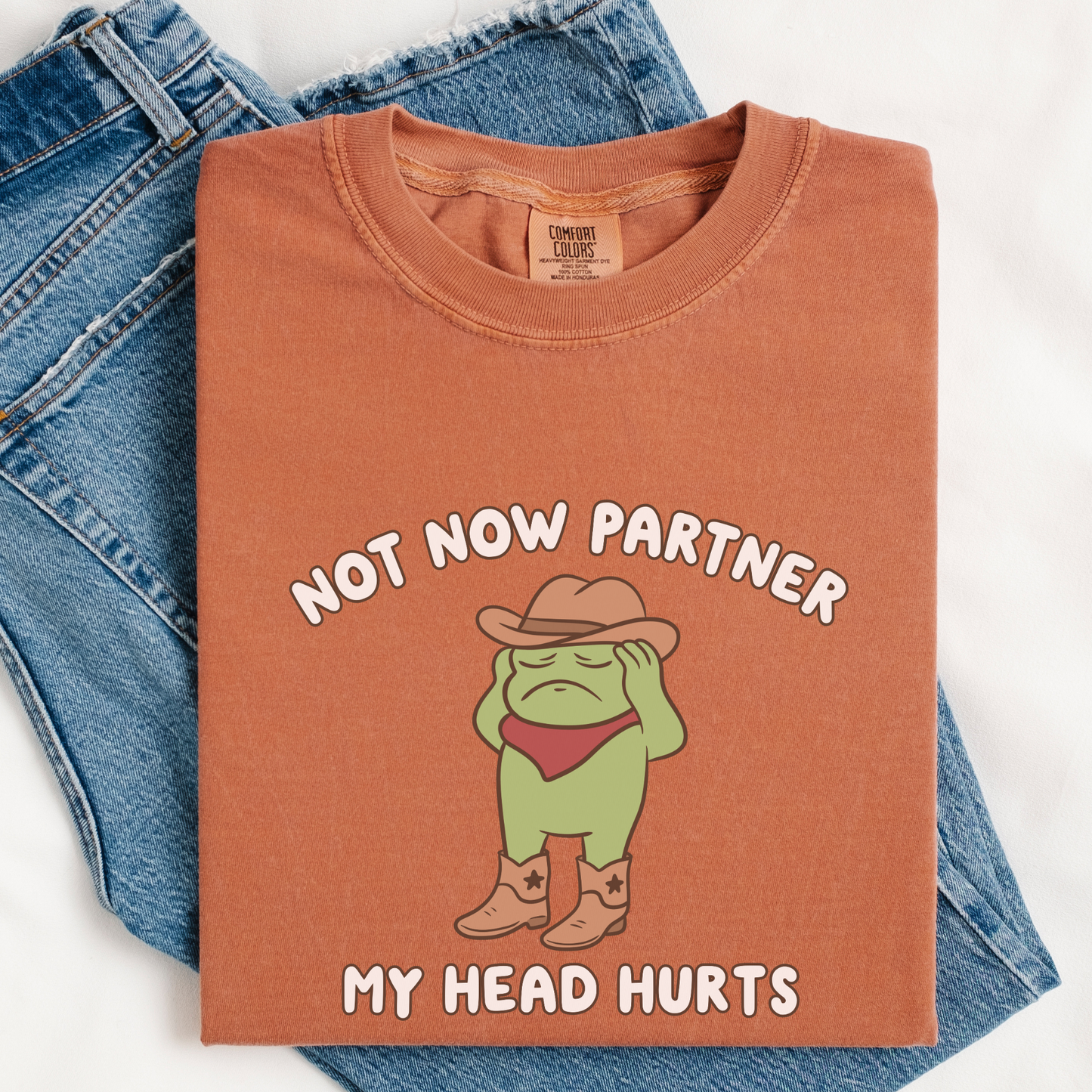 Not Now Partner My Head Hurts Comfort Colors Shirt