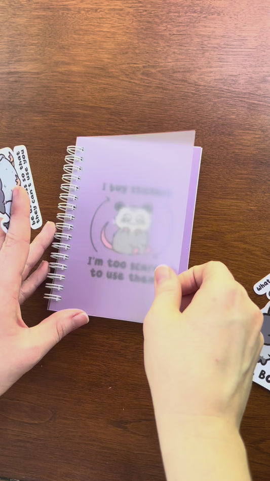 PREORDER Reusable Sticker Book